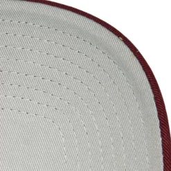 Curveball Trucker Coop Philadelphia Phillies