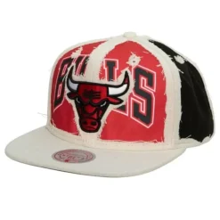 Cut Away Snapback Chicago Bulls