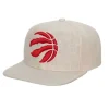 Cut Away Snapback Toronto Raptors