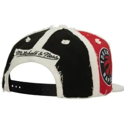 Cut Away Snapback Toronto Raptors