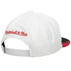 Day 5 Snapback Chicago Bulls