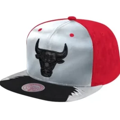 Day 5 Snapback Chicago Bulls