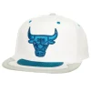 Day 4 Snapback Chicago Bulls