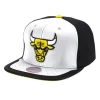 Day One Snapback Chicago Bulls