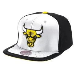 Day One Snapback Chicago Bulls