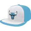 Day One Snapback Chicago Bulls