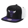 Day One Snapback Chicago Bulls