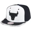 Day One Snapback Chicago Bulls