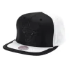 Day One Snapback Chicago Bulls