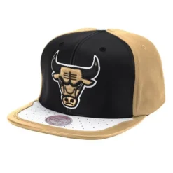 Day One Snapback Chicago Bulls