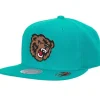 Dead Remix Deadstock Snapback Hwc Vancouver Grizzlies