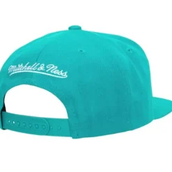 Dead Remix Deadstock Snapback Hwc Vancouver Grizzlies