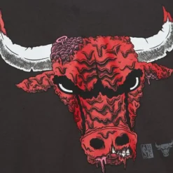 Deconstructed Tee Chicago Bulls