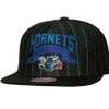 Dem Stripes Snapback Hwc Charlotte Hornets
