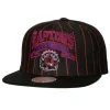 Dem Stripes Snapback Hwc Toronto Raptors