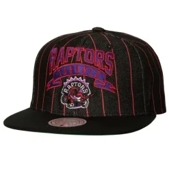 Dem Stripes Snapback Hwc Toronto Raptors