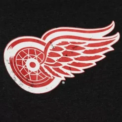 Distressed Logo Hoody Detroit Red Wings
