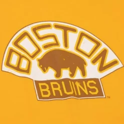 Distressed Logo Tee Boston Bruins