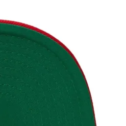 Dual Whammy Snapback Hwc Detroit Pistons