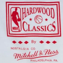 Dunk Tee Toronto Raptors