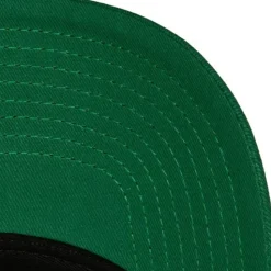 Eagles Classic Pro Snapback Philadelphia Eagles