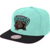 Easter Snapback Hwc Vancouver Grizzlies