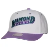 Evergreen Pro Snapback Coop Arizona Diamondbacks