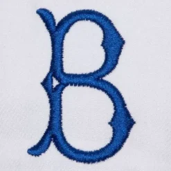 Evergreen Pro Snapback Coop Brooklyn Dodgers