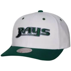 Evergreen Pro Snapback Coop Tampa Bay Rays