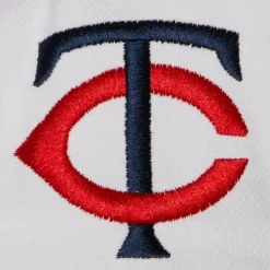 Evergreen Pro Snapback Coop Minnesota Twins