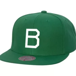 Evergreen Snapback Coop Brooklyn Dodgers
