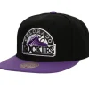 Evergreen Snapback Coop Colorado Rockies