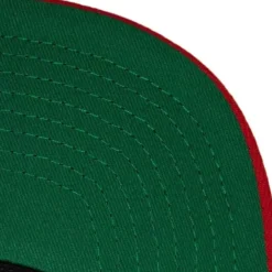 Evergreen Snapback Coop Cincinnati Reds