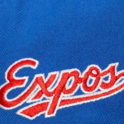 Evergreen Snapback Coop Montreal Expos