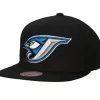 Evergreen Snapback Coop Toronto Blue Jays