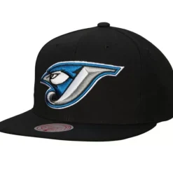 Evergreen Snapback Coop Toronto Blue Jays