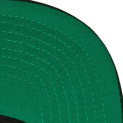 Evergreen Snapback Coop Toronto Blue Jays