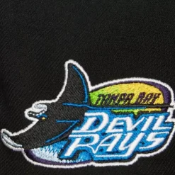 Evergreen Snapback Coop Tampa Bay Rays