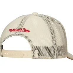 Evergreen Trucker Snapback Coop Minnesota Twins