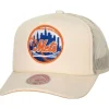 Evergreen Trucker Snapback Coop New York Mets
