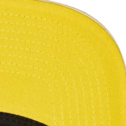 Evergreen Trucker Snapback Coop Pittsburgh Pirates