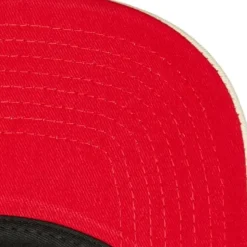Evergreen Trucker Snapback Coop Boston Red Sox