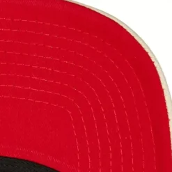 Evergreen Trucker Snapback Coop St. Louis Cardinals
