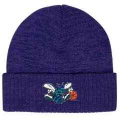 Fandom Knit Beanie Hwc Charlotte Hornets