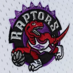 Fashion Mesh V-Neck Toronto Raptors