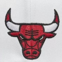 Fast Times Snapback Chicago Bulls