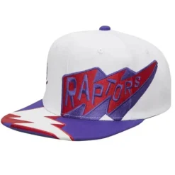 Fast Times Snapback Hwc Toronto Raptors