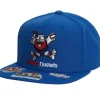 Front Face Snapback Hwc Denver Nuggets