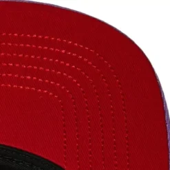 Front Face Snapback Hwc Toronto Raptors