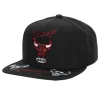 Front Loaded Snapback Hwc Chicago Bulls